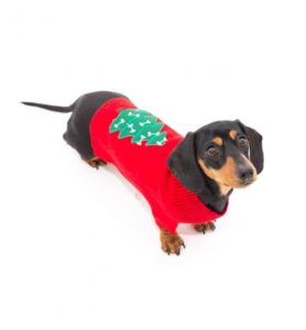 dachshund-Christmas-Sweater | dachshund 