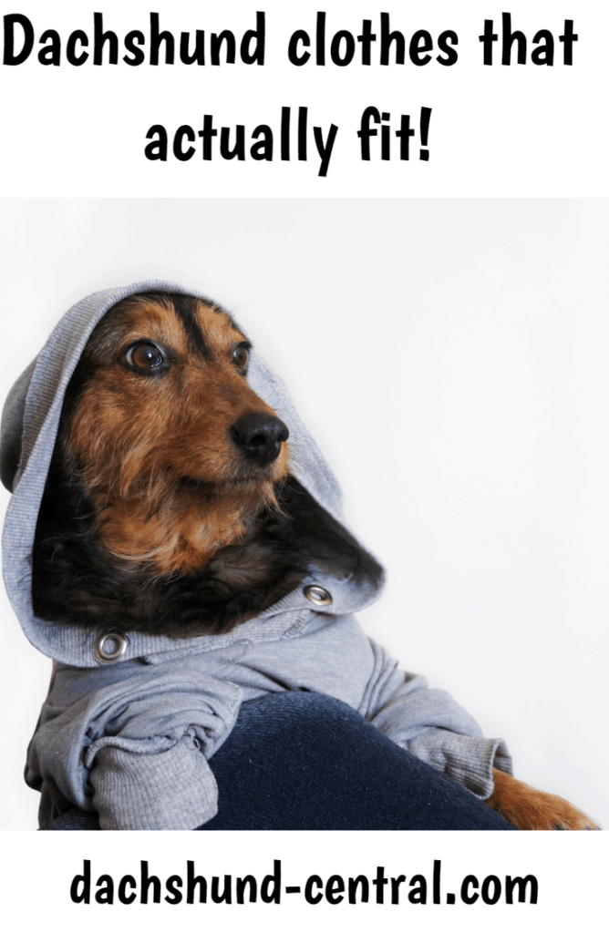 Dachshund clothes that actually fit! dachshundcentral