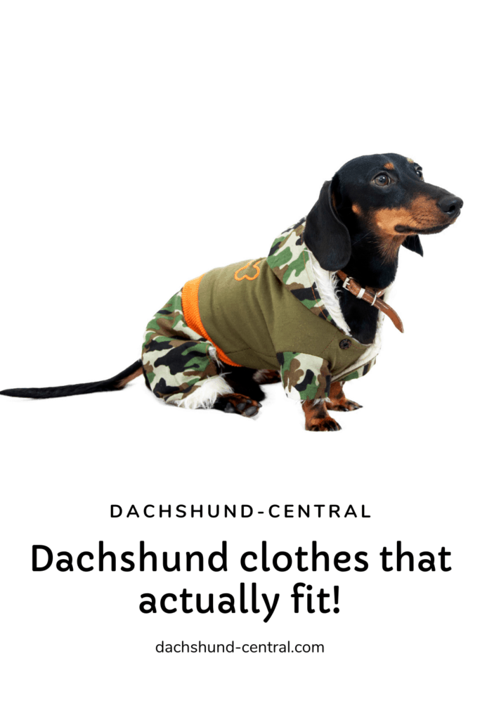 Dachshund clothes that actually fit! dachshundcentral