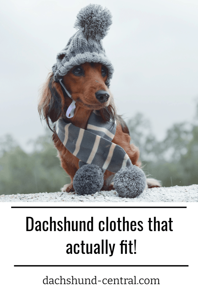 Dachshund clothes that actually fit! dachshundcentral