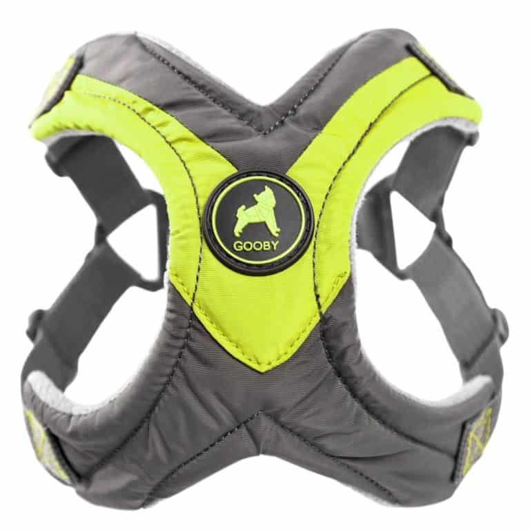 Dachshund Accessories for Dogs dachshundcentral