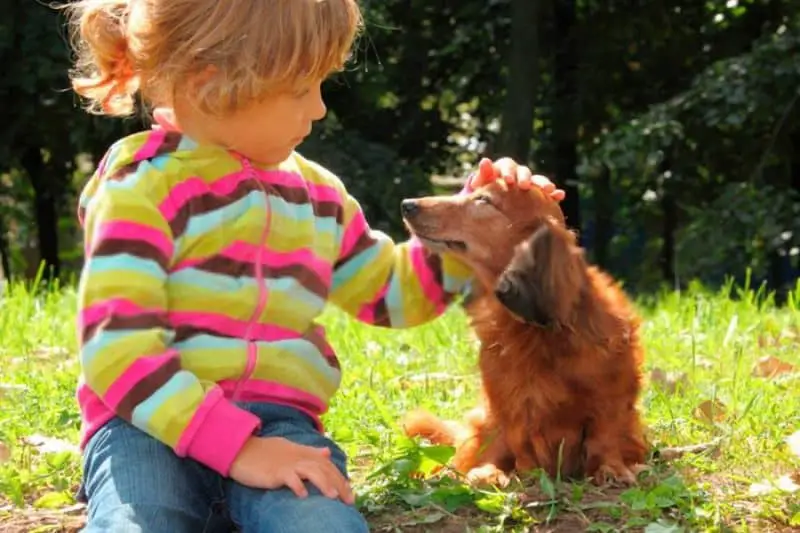 are dachshunds good with kids