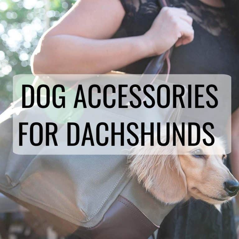 Dachshund Products, Apparel And Gifts | Dachshund-Central