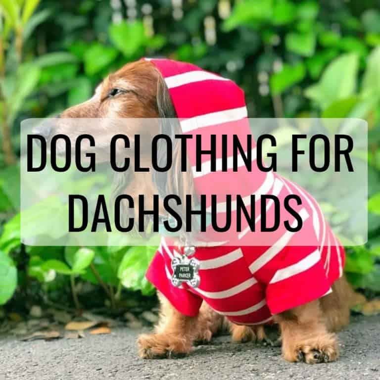 Dachshund Products, Apparel And Gifts | Dachshund-Central