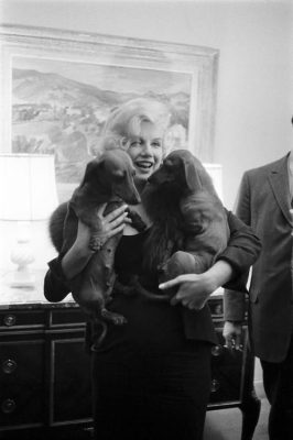 Marilyn-Monroe and her dachshunds