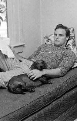 Marlon-Brando and his dachshund