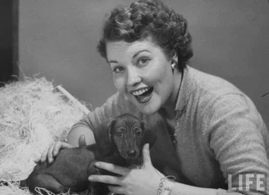 Patti-Page dachshund