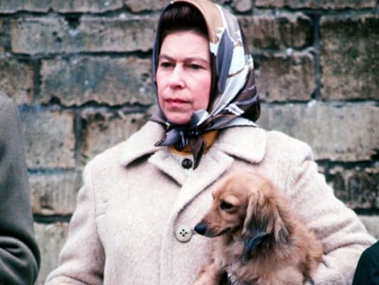 Queen-Elizabeth and her dachshund