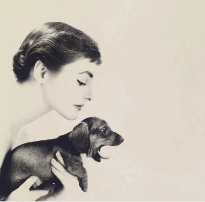 audrey hepburn and her dachshund