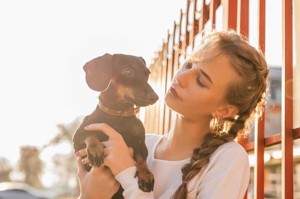 teenager girl holding her dachshund dog in her arms outdoors in sunset