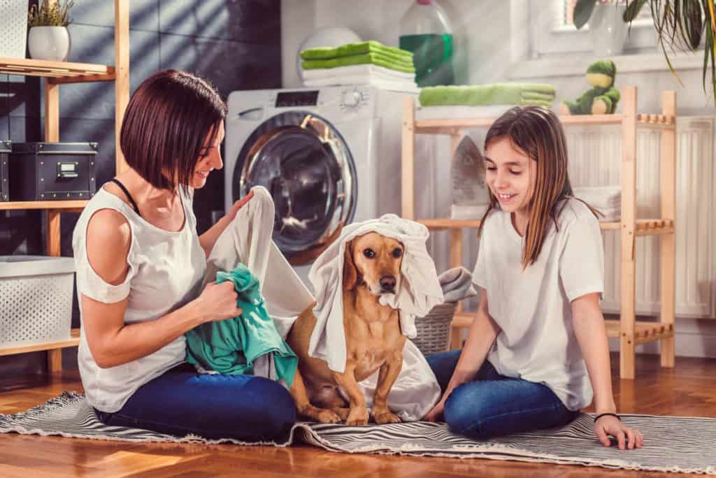 what happens to dog hair in the washing machine