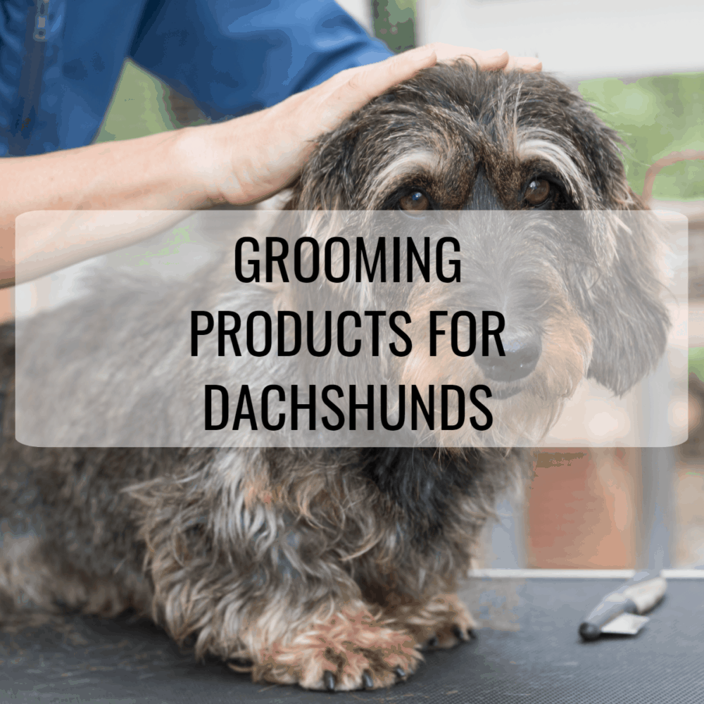 Grooming products for Dachshunds - dachshund-central