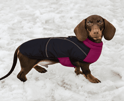 Dachshund fleece coat