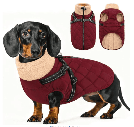 dachshund quilted coat