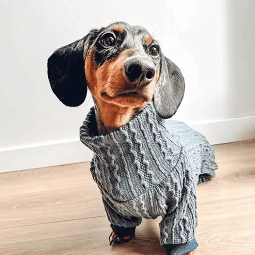 Fitwarm Turtleneck Knitted Dachshund Pajamas